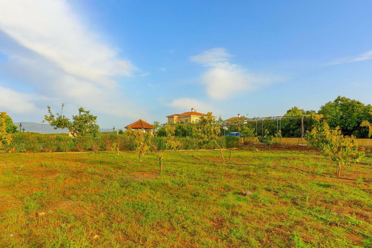 Villa Athina Finiki Polis Ngoại thất bức ảnh